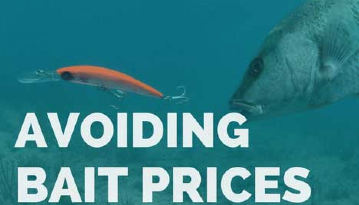 Avoiding Bait Pricing