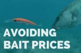 Avoiding Bait Pricing