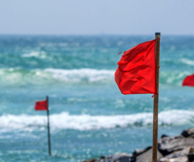 Red warning flag on beach