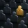 Good Agent Image